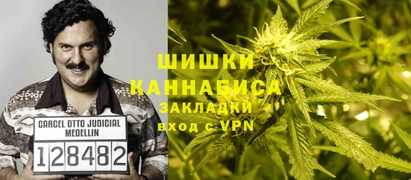сатива Новодвинск