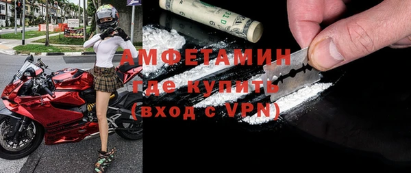 хмурый Новозыбков