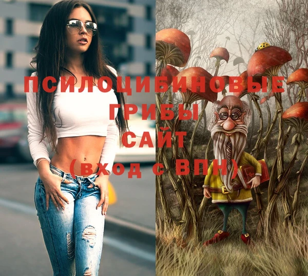 дурь Билибино