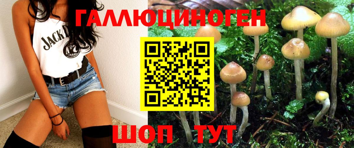 Псилоцибиновые грибы GOLDEN TEACHER Урюпинск