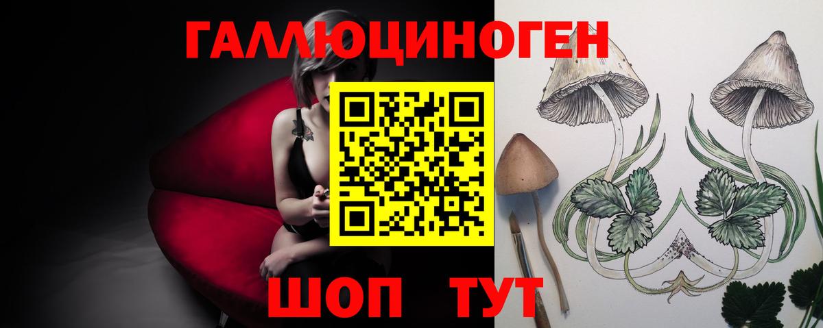 Урюпинск  Псилоцибиновые грибы Cubensis  Вход с VPN  Псилоцибиновые грибы MAGIC MUSHROOMS 